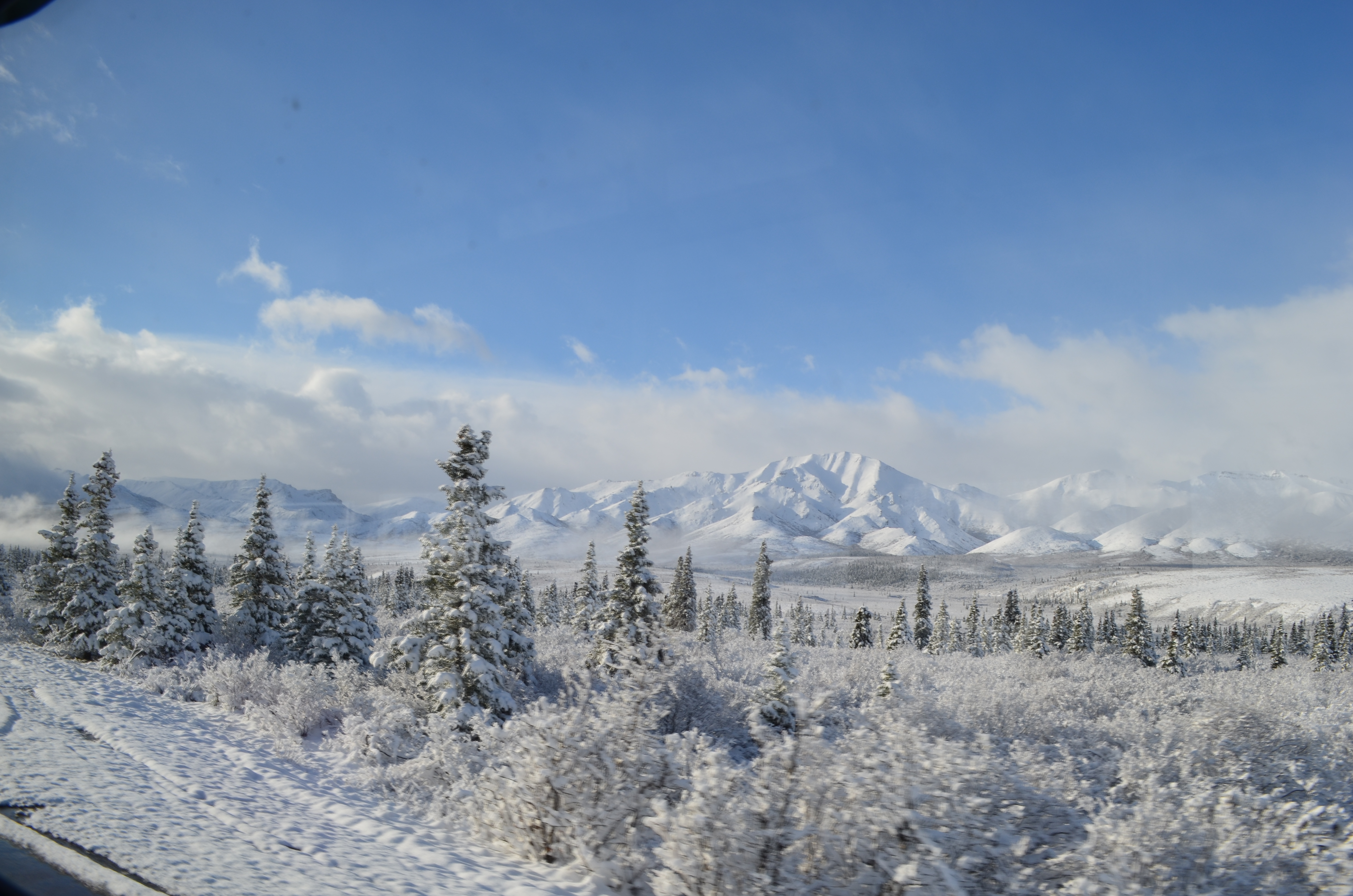 ./2017/08 - Alaska Cruise/03 - Denali/DSC_0219.JPG